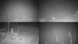 Sdružený snímek okolí chaty Myslivna