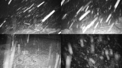 Sdružený snímek okolí chaty Myslivna