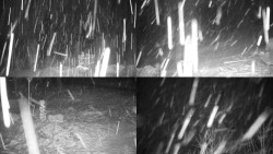 Sdružený snímek okolí chaty Myslivna