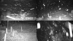 Sdružený snímek okolí chaty Myslivna