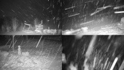 Sdružený snímek okolí chaty Myslivna