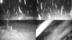 Sdružený snímek okolí chaty Myslivna