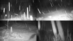 Sdružený snímek okolí chaty Myslivna