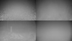 Sdružený snímek okolí chaty Myslivna