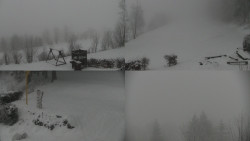 Sdružený snímek okolí chaty Myslivna