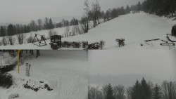 Sdružený snímek okolí chaty Myslivna