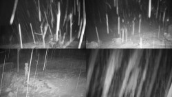 Sdružený snímek okolí chaty Myslivna