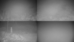 Sdružený snímek okolí chaty Myslivna