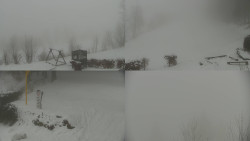 Sdružený snímek okolí chaty Myslivna