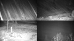 Sdružený snímek okolí chaty Myslivna