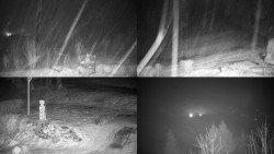 Sdružený snímek okolí chaty Myslivna