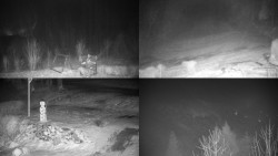 Sdružený snímek okolí chaty Myslivna