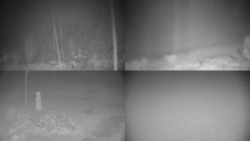 Sdružený snímek okolí chaty Myslivna