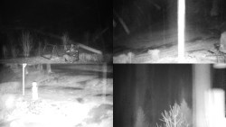 Sdružený snímek okolí chaty Myslivna