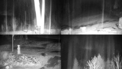 Sdružený snímek okolí chaty Myslivna