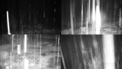 Sdružený snímek okolí chaty Myslivna