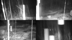 Sdružený snímek okolí chaty Myslivna