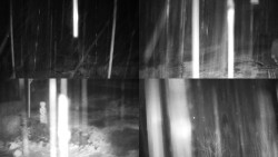 Sdružený snímek okolí chaty Myslivna