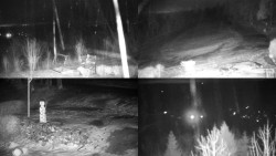 Sdružený snímek okolí chaty Myslivna