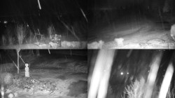 Sdružený snímek okolí chaty Myslivna