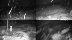 Sdružený snímek okolí chaty Myslivna