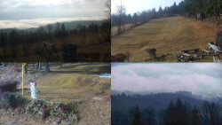 Sdružený snímek okolí chaty Myslivna