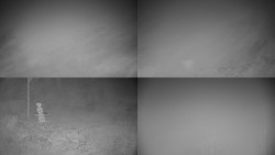 Sdružený snímek okolí chaty Myslivna