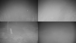 Sdružený snímek okolí chaty Myslivna