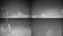 Sdružený snímek okolí chaty Myslivna