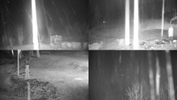 Sdružený snímek okolí chaty Myslivna