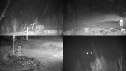 Sdružený snímek okolí chaty Myslivna