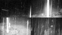 Sdružený snímek okolí chaty Myslivna