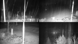 Sdružený snímek okolí chaty Myslivna