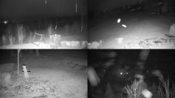 Sdružený snímek okolí chaty Myslivna