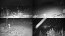 Sdružený snímek okolí chaty Myslivna