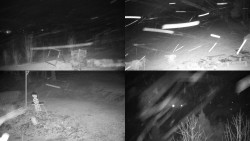 Sdružený snímek okolí chaty Myslivna