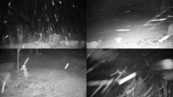 Sdružený snímek okolí chaty Myslivna