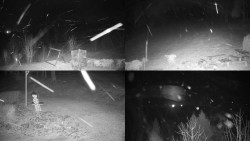 Sdružený snímek okolí chaty Myslivna