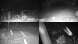 Sdružený snímek okolí chaty Myslivna