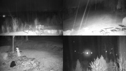 Sdružený snímek okolí chaty Myslivna