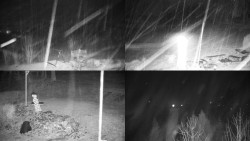 Sdružený snímek okolí chaty Myslivna