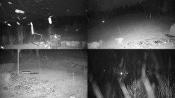 Sdružený snímek okolí chaty Myslivna