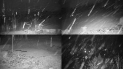 Sdružený snímek okolí chaty Myslivna