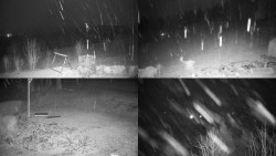 Sdružený snímek okolí chaty Myslivna