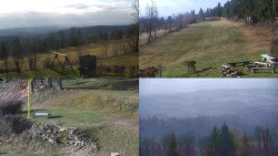 Sdružený snímek okolí chaty Myslivna