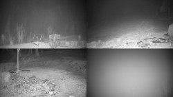 Sdružený snímek okolí chaty Myslivna