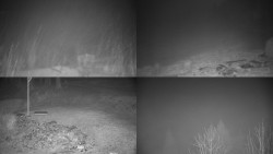 Sdružený snímek okolí chaty Myslivna