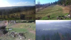 Sdružený snímek okolí chaty Myslivna