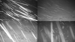 Sdružený snímek okolí chaty Myslivna