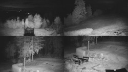Composite photo of the surroundings of the Myslivna cabin
